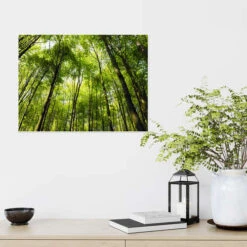 Forår I Skoven Plakat 40 X 30 Cm Billedramme -POSTERLOUNGE Salg 615382 poster room green l