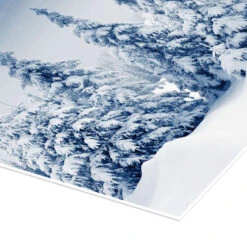 Group Of Firs In The Mountains Plakat 30 X 30 Cm Billedramme -POSTERLOUNGE Salg 615410 poster empCorner l