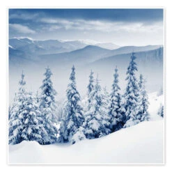 Group Of Firs In The Mountains Plakat 30 X 30 Cm Billedramme