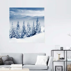 Group Of Firs In The Mountains Plakat 30 X 30 Cm Billedramme -POSTERLOUNGE Salg 615410 poster room photography l