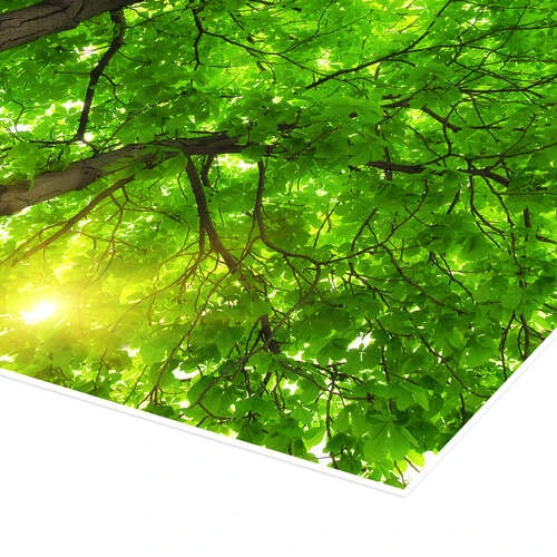 Under Et Stort Grønt Træ Plakat 30 X 20 Cm Billedramme 5 Under Et Stort Grønt Træ Plakat 30 X 20 Cm Billedramme - Billede 3