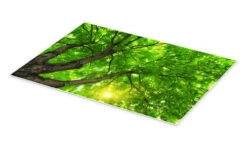 Under Et Stort Grønt Træ Plakat 30 X 20 Cm Billedramme 7 Under Et Stort Grønt Træ Plakat 30 X 20 Cm Billedramme -POSTERLOUNGE Salg 615462 poster pds l