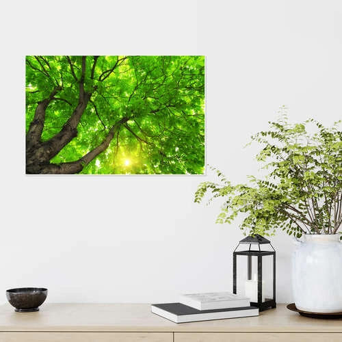 Under Et Stort Grønt Træ Plakat 30 X 20 Cm Billedramme 6 Under Et Stort Grønt Træ Plakat 30 X 20 Cm Billedramme - Billede 4