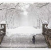 Vinter I Central Park Plakat 30 X 20 Cm Billedramme