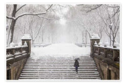 Vinter I Central Park Plakat 30 X 20 Cm Billedramme
