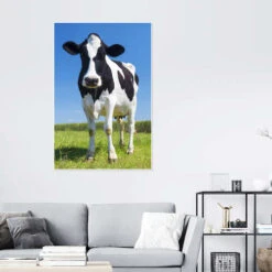 Cow - Black And White Plakat 20 X 30 Cm Billedramme 9 Cow - Black And White Plakat 20 X 30 Cm Billedramme -POSTERLOUNGE Salg 618331 poster room photography l