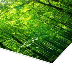 Grøn Himmel Plakat 20 X 30 Cm Billedramme -POSTERLOUNGE Salg 618705 poster empCorner l