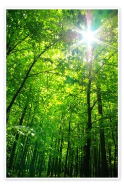 Grøn Himmel Plakat 20 X 30 Cm Billedramme