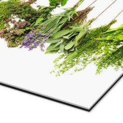 Hængende Urter Galleritryk 40 X 20 Cm Billedramme -POSTERLOUNGE Salg 620077 gallery print empCorner l
