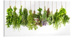 Hængende Urter Galleritryk 40 X 20 Cm Billedramme