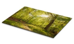 Spring Forest With Sunshine Oliver Henze Galleritryk 30 X 20 Cm Billedramme -POSTERLOUNGE Salg 621591 gallery print pds l