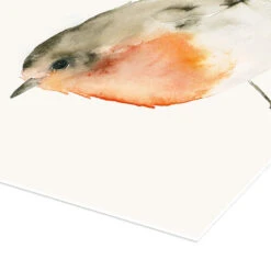 Rødhals Dearpumpernickel Plakat 30 X 40 Cm Billedramme -POSTERLOUNGE Salg 623762 poster empCorner l