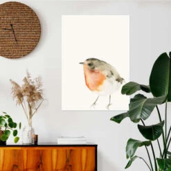 Rødhals Dearpumpernickel Plakat 30 X 40 Cm Billedramme -POSTERLOUNGE Salg 623762 poster room portrait format l