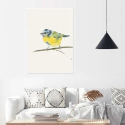 Blåmejse Dearpumpernickel Plakat 30 X 40 Cm Billedramme -POSTERLOUNGE Salg 623770 poster room living room l