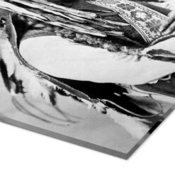 Sioux Høvding Siddende Tyr John Parrot Akrylbillede 20 X 30 Cm Billedramme -POSTERLOUNGE Salg 627445 acrylic glass empCorner l