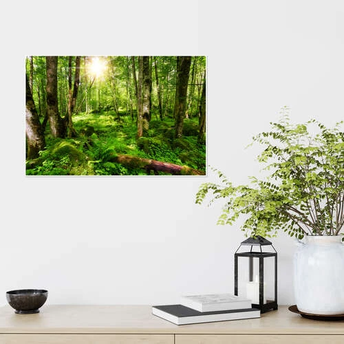 En Tur I Skoven Thomas Herzog Plakat 30 X 20 Cm Billedramme 6 En Tur I Skoven Thomas Herzog Plakat 30 X 20 Cm Billedramme - Billede 4