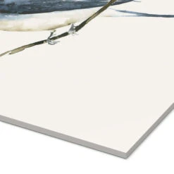 Swallow Dearpumpernickel Akrylbillede 20 X 30 Cm Billedramme -POSTERLOUNGE Salg 640609 acrylic glass empCorner l