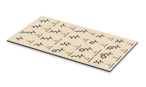 Aminosyremolekyler (engelsk) Molekuul Galleritryk 20 X 40 Cm Billedramme 4 Aminosyremolekyler (engelsk) Molekuul Galleritryk 20 X 40 Cm Billedramme - Billede 2