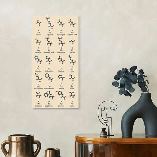 Aminosyremolekyler (engelsk) Molekuul Galleritryk 20 X 40 Cm Billedramme 6 Aminosyremolekyler (engelsk) Molekuul Galleritryk 20 X 40 Cm Billedramme - Billede 4
