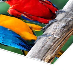 Hyggesnak Plakat 20 X 30 Cm Billedramme -POSTERLOUNGE Salg 651829 poster empCorner l