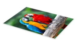 Hyggesnak Plakat 20 X 30 Cm Billedramme -POSTERLOUNGE Salg 651829 poster pds l