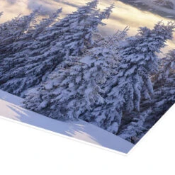 Winter Dream II Rainer Mirau Plakat 40 X 30 Cm Billedramme -POSTERLOUNGE Salg 655591 poster empCorner l