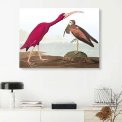 Rød Ibis John James Audubon Akrylbillede 30 X 20 Cm Billedramme -POSTERLOUNGE Salg 661968 acrylic glass room red l
