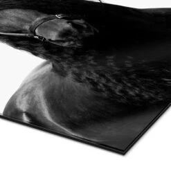 Horsing Around Finlay And Noa Galleritryk 20 X 30 Cm Billedramme -POSTERLOUNGE Salg 669461 gallery print empCorner l