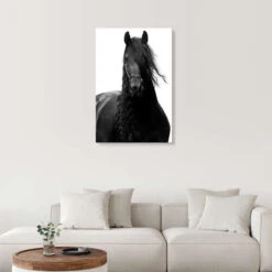 Horsing Around Finlay And Noa Galleritryk 20 X 30 Cm Billedramme -POSTERLOUNGE Salg 669461 gallery print room black and white l