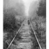 Railroad In Foggy Forest Akrylbillede 20 X 30 Cm Billedramme