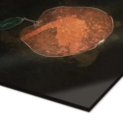 Newton RNDMS Akrylbillede 20 X 30 Cm Billedramme -POSTERLOUNGE Salg 674198 acrylic glass empCorner l