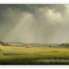 Newburyport Meadows Martin Johnson Heade Plakat 40 X 20 Cm Billedramme