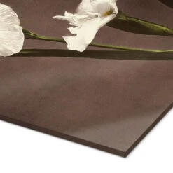 Iris Ogawa Kazumasa Akrylbillede 20 X 30 Cm Billedramme -POSTERLOUNGE Salg 679528 acrylic glass empCorner l