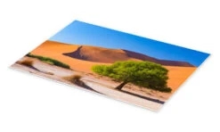 Sand Dunes And Acacia Trees At Sossusvlei, Namib Desert, Namibia Fabio Lamanna Plakat 30 X 20 Cm Billedramme -POSTERLOUNGE Salg 685020 poster pds l