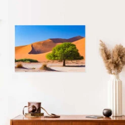 Sand Dunes And Acacia Trees At Sossusvlei, Namib Desert, Namibia Fabio Lamanna Plakat 30 X 20 Cm Billedramme -POSTERLOUNGE Salg 685020 poster room photography l
