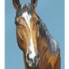 Horse On Blue Kidz Collection Akrylbillede 20 X 30 Cm Billedramme -POSTERLOUNGE Salg 685419 acrylic glass l