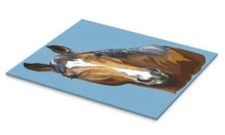 Horse On Blue Kidz Collection Akrylbillede 20 X 30 Cm Billedramme -POSTERLOUNGE Salg 685419 acrylic glass pds l
