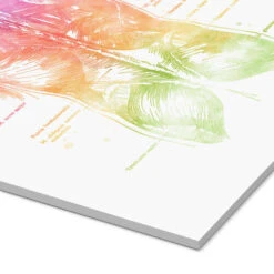 Regnbue Ryg Mod Pop Deco Akrylbillede 20 X 30 Cm Billedramme -POSTERLOUNGE Salg 689128 acrylic glass empCorner l