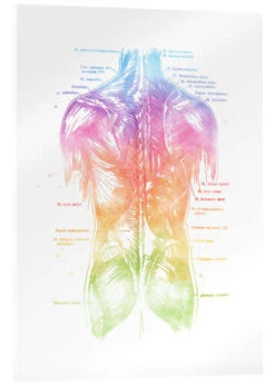 Regnbue Ryg Mod Pop Deco Akrylbillede 20 X 30 Cm Billedramme