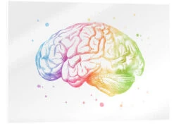 Regnbue Hjerne Mod Pop Deco Akrylbillede 30 X 20 Cm Billedramme