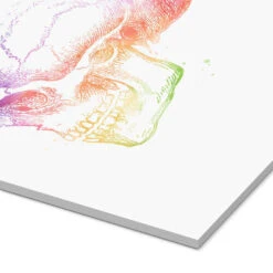 Regnbue Kranium Mod Pop Deco Akrylbillede 20 X 30 Cm Billedramme -POSTERLOUNGE Salg 689132 acrylic glass empCorner l