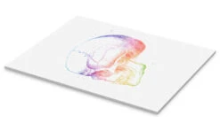 POSTERLOUNGE Salg -POSTERLOUNGE Salg 689132 acrylic glass pds l