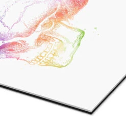 Regnbue Kranium Mod Pop Deco Galleritryk 20 X 30 Cm Billedramme 8 Regnbue Kranium Mod Pop Deco Galleritryk 20 X 30 Cm Billedramme -POSTERLOUNGE Salg 689132 gallery print empCorner l