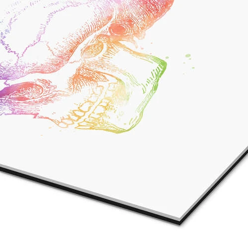 Regnbue Kranium Mod Pop Deco Galleritryk 20 X 30 Cm Billedramme 5 Regnbue Kranium Mod Pop Deco Galleritryk 20 X 30 Cm Billedramme - Billede 3