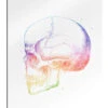 Regnbue Kranium Mod Pop Deco Galleritryk 20 X 30 Cm Billedramme -POSTERLOUNGE Salg 689132 gallery print l