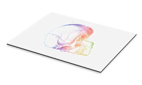 Regnbue Kranium Mod Pop Deco Galleritryk 20 X 30 Cm Billedramme 4 Regnbue Kranium Mod Pop Deco Galleritryk 20 X 30 Cm Billedramme - Billede 2