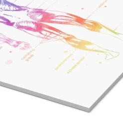 Regnbue Muskler Mod Pop Deco Akrylbillede 20 X 30 Cm Billedramme -POSTERLOUNGE Salg 689143 acrylic glass empCorner l