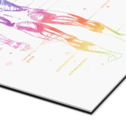 Regnbue Muskler Mod Pop Deco Galleritryk 20 X 30 Cm Billedramme -POSTERLOUNGE Salg 689143 gallery print empCorner l