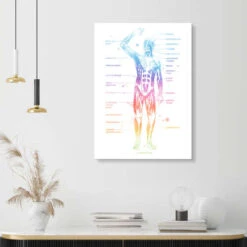 Regnbue Muskelsystem Mod Pop Deco Akrylbillede 20 X 30 Cm Billedramme -POSTERLOUNGE Salg 689144 acrylic glass room colourful l