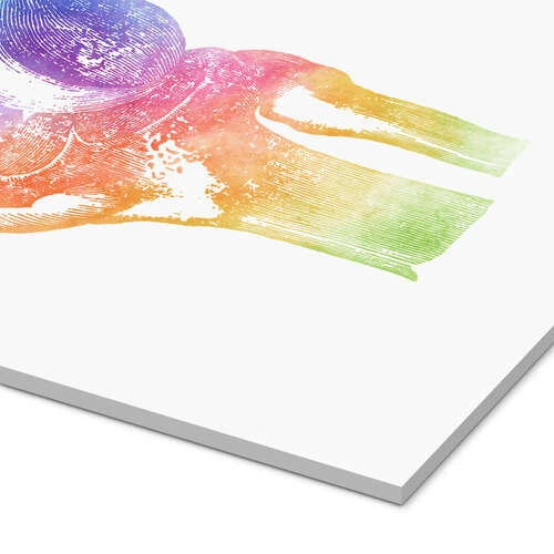 Regnbue Knæ Mod Pop Deco Akrylbillede 20 X 30 Cm Billedramme 5 Regnbue Knæ Mod Pop Deco Akrylbillede 20 X 30 Cm Billedramme - Billede 3